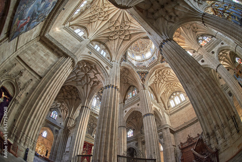 New Cathedral of Salamanca, Salamanca City, Spain, Europe.