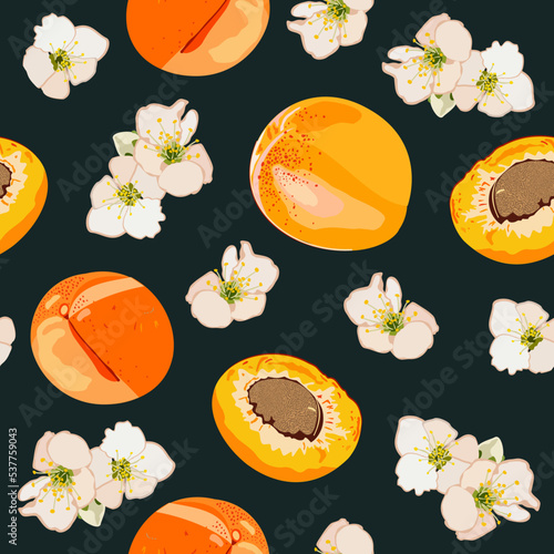 Vector seamless pattern with bright whole apricots and halves and flowers on dark green background.
