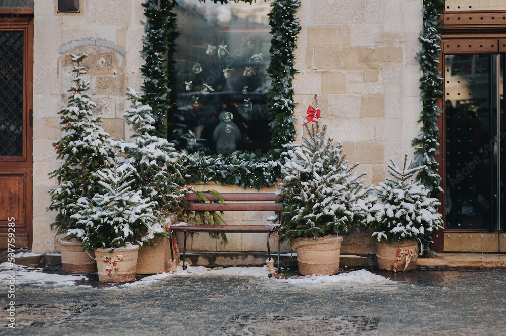 Five green decorative Christmas trees stand in burlap pots on a gray cobbled sidewalk outside a shop in Lviv, Ukraine. Winter snow. New Year eve. Five green decorative Christmas trees stand in burlap pots on a gray cobbled sidewalk outside a shop in Lviv, Ukraine. Winter snow. New Year eve.