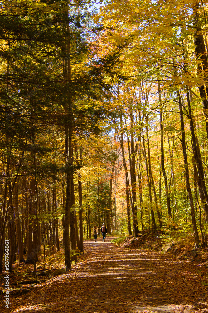 Obraz premium Beautiful fall colors in the Canadian countryside at fall in the province of Quebec
