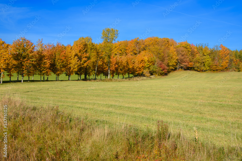 Beautiful  fall colors in the Canadian countryside at fall in the province of Quebec
