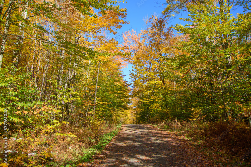 Beautiful  fall colors in the Canadian countryside at fall in the province of Quebec