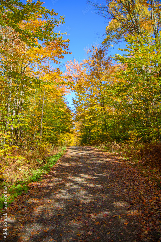 Beautiful  fall colors in the Canadian countryside at fall in the province of Quebec