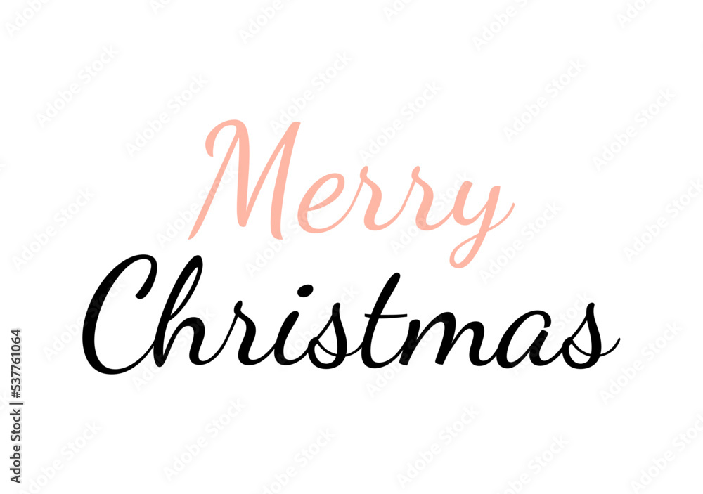 Merry Christmas. Vector ink lettering. Modern calligraphy style.	
