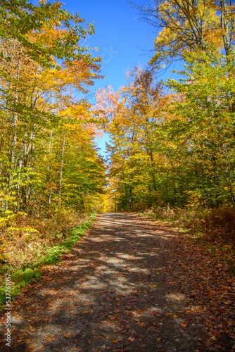 Beautiful fall colors in the Canadian countryside at fall in the province of Quebec