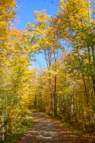 Beautiful  fall colors in the Canadian countryside at fall in the province of Quebec © Gilles Rivest