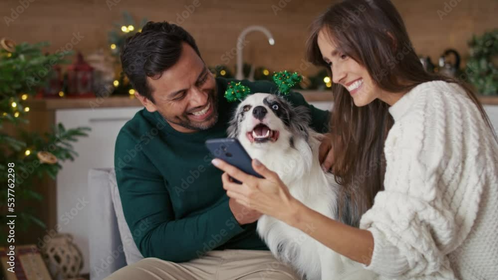Happy multi ethnicity couple taking picture with dog at home during the Christmas. Shot with RED helium camera in 8K. Happy multi ethnicity couple taking picture with dog at home during the Christmas. Shot with RED helium camera in 8K.
