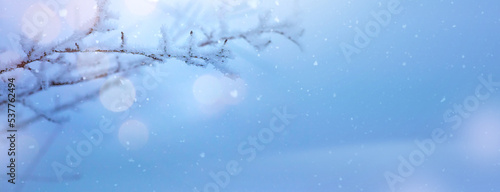 Winter background with snowy and iced branches of trees on snowy blue sky backdrop. Christmas and winter concept. © Konstiantyn