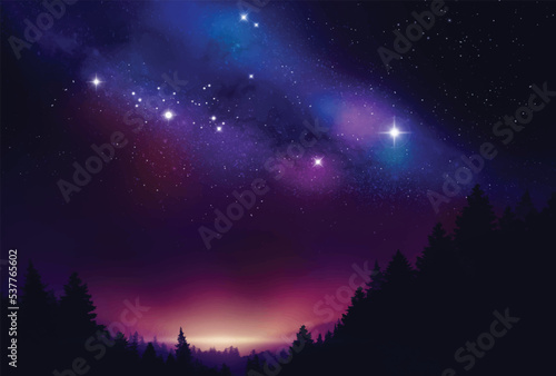 Digital painting. Night sky in imagination With the Milky Way, the stars in the pine forest on the mountain. illustration © pla2u