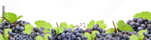 Foto Grape fruit