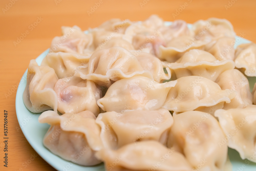 Homemade meat dumpling on plate Homemade meat dumpling on plate
