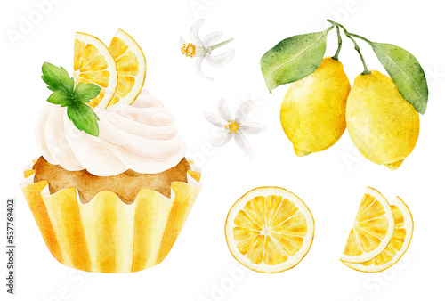Set of lemons and cupcake with lemon and mint isolated on white background.