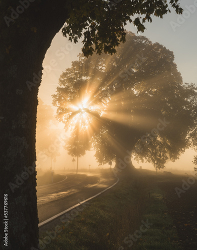 Sonnenstrahlen