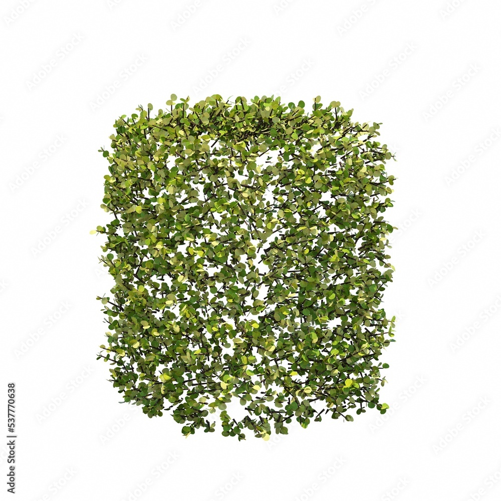 bush isolated on white background, 3D illustration, cg render bush isolated on white background, 3D illustration, cg render