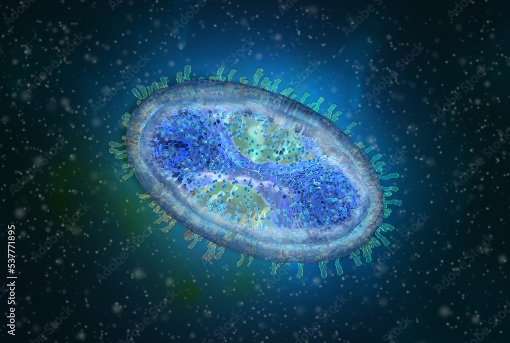 Medical background, Monkeypox virus, Zoonotic virus from the Poxviridae family, causes monkeypox, pore-like disease, highly contagious viral infection, 3d rendering Medical background, Monkeypox virus, Zoonotic virus from the Poxviridae family, causes monkeypox, pore-like disease, highly contagious viral infection, 3d rendering