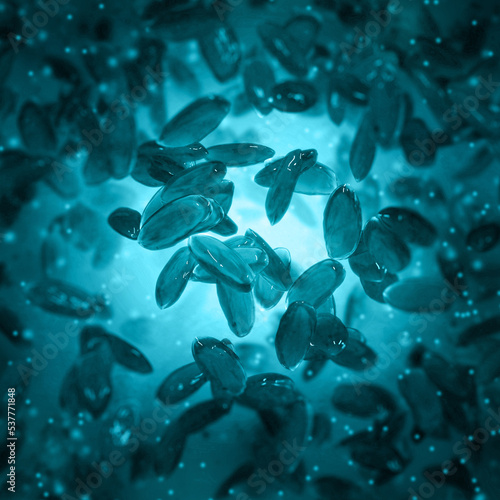 Photography Medical background, Yersinia pestis a species of gram-negative bacteria from the