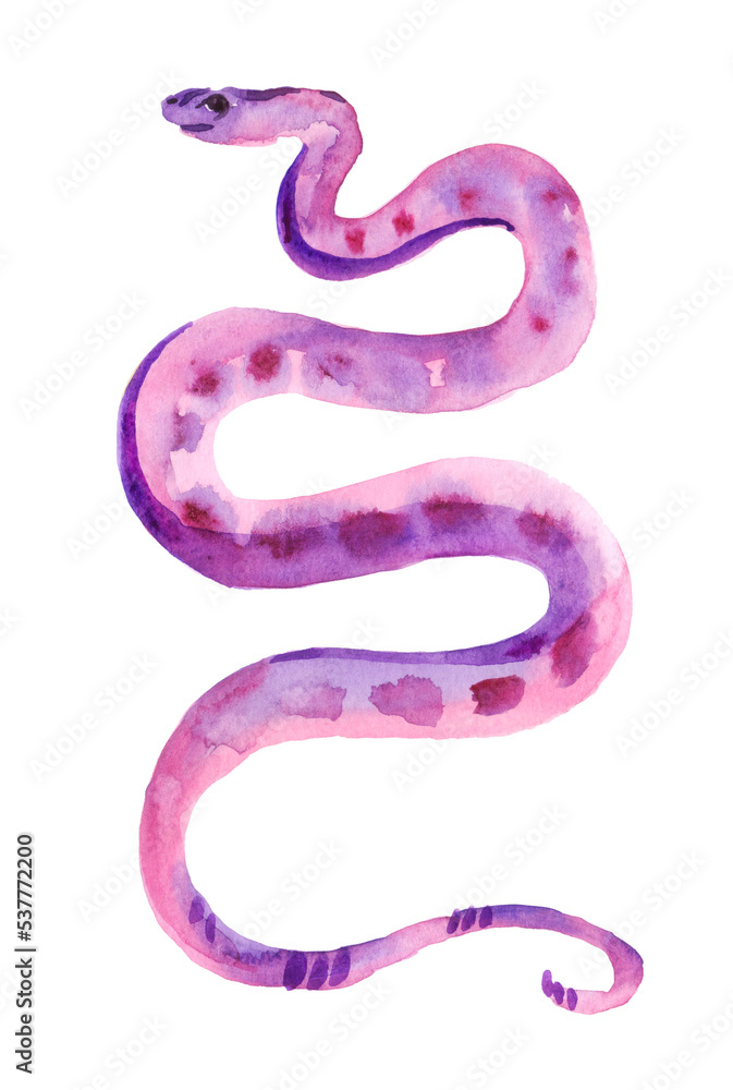 Watercolor hand drawn illsutration of scary purple snake. Witch witchcraft concept, mystic magic occult fall clipart, poisonous serpent. Watercolor hand drawn illsutration of scary purple snake. Witch witchcraft concept, mystic magic occult fall clipart, poisonous serpent.