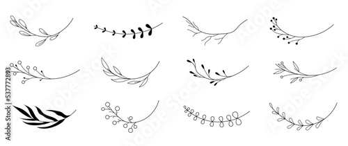 Set of vector floral branches for decoration. Branch design, hand drawn for decoration, plant with elegant leaves for invitation, date design, wedding. botanical illustration