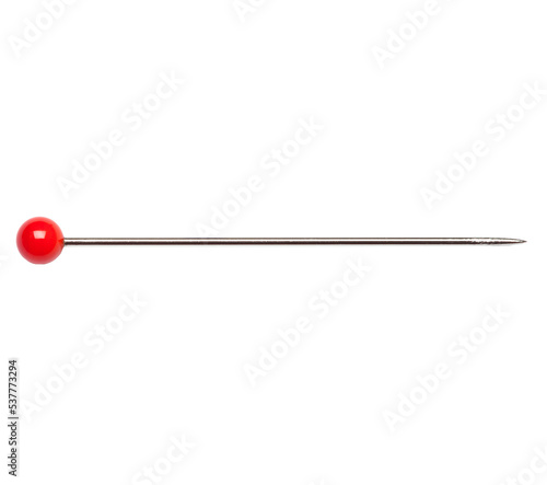 Single isolated Needle Pin with red head 
