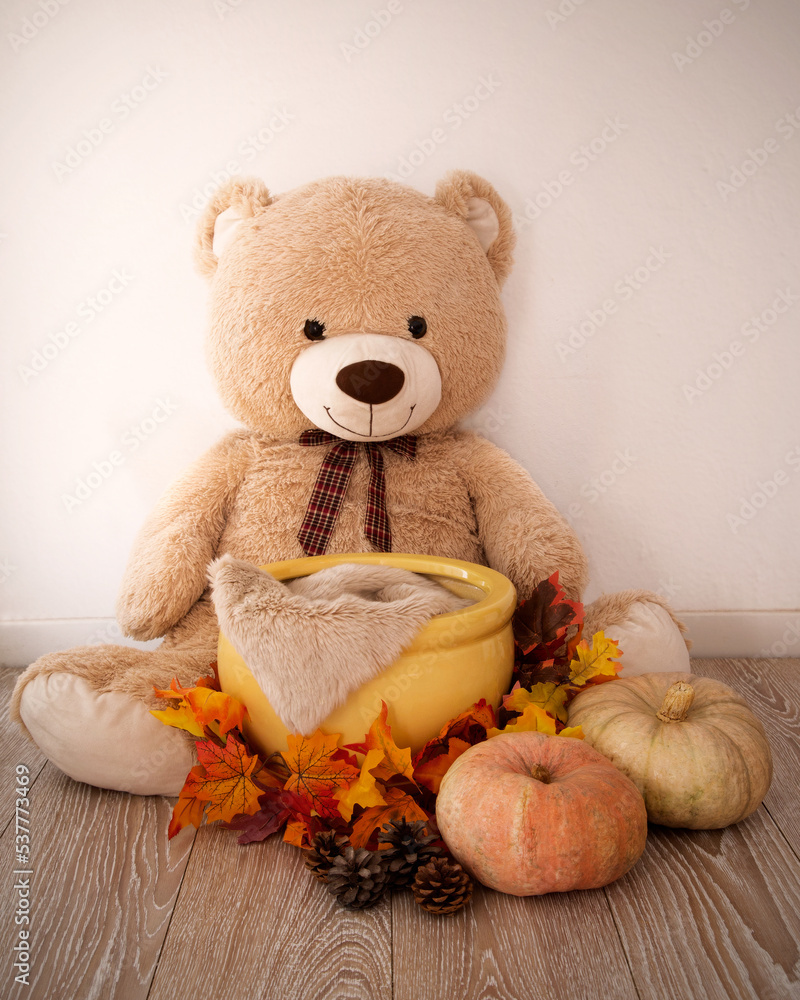 Backdrop newborn, fondo digital para fotografia de recien nacido, oso  peluche con maceta decorada con hojas de otoño y calabazas, halloween,  tonos claros, maceta para bebe foto de Stock