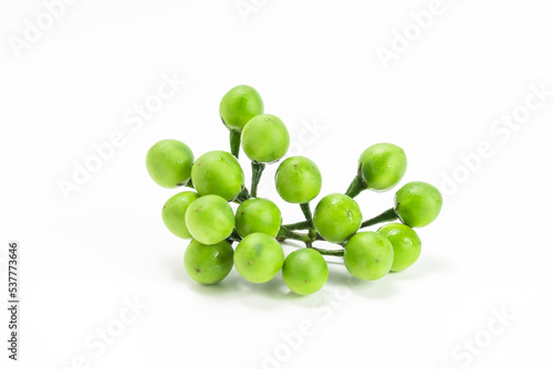 fresh green turkey berry isolated on white background. pea eggplant or solanum torvum
