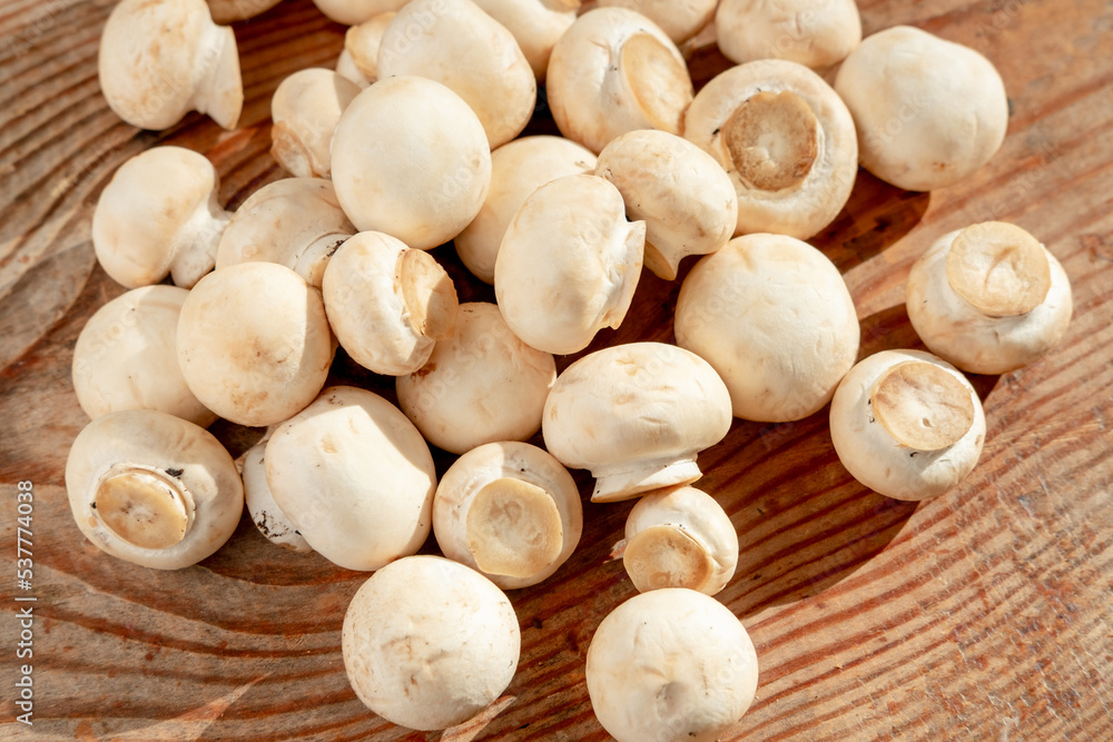 fresh, small champignons close-up on a wooden background fresh, small champignons close-up on a wooden background