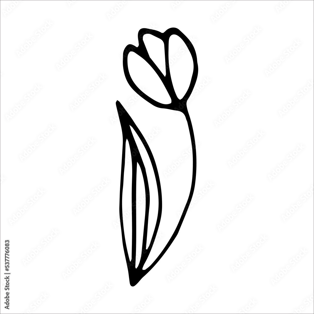 Tulip flower doodle style vector illustration isolated on white Tulip flower doodle style vector illustration isolated on white