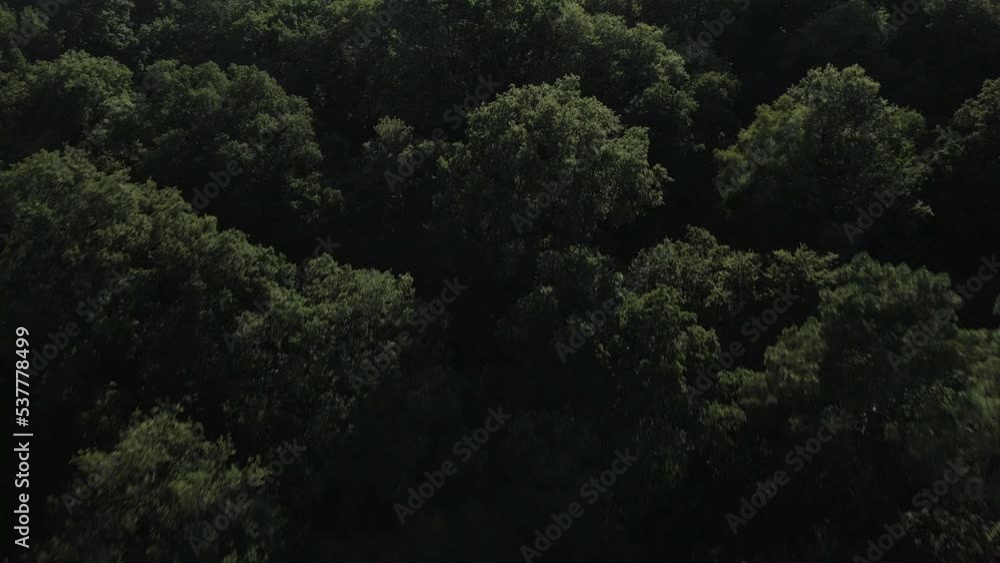 Brocéliande forest, Brittany in France. Aerial top-down forward Brocéliande forest, Brittany in France. Aerial top-down forward