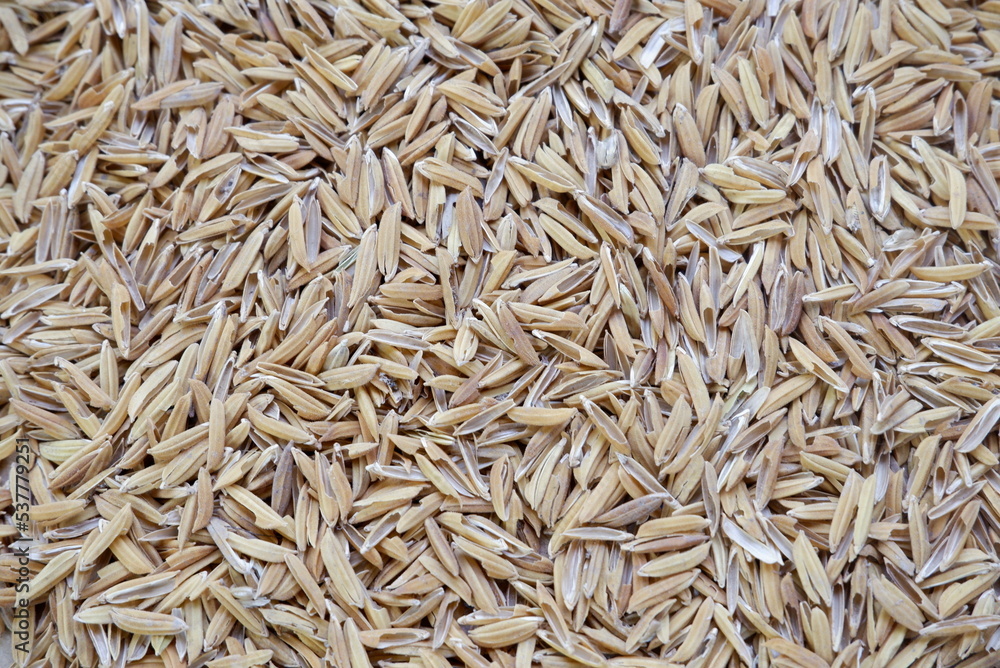 The detail of Brown rice husks for background