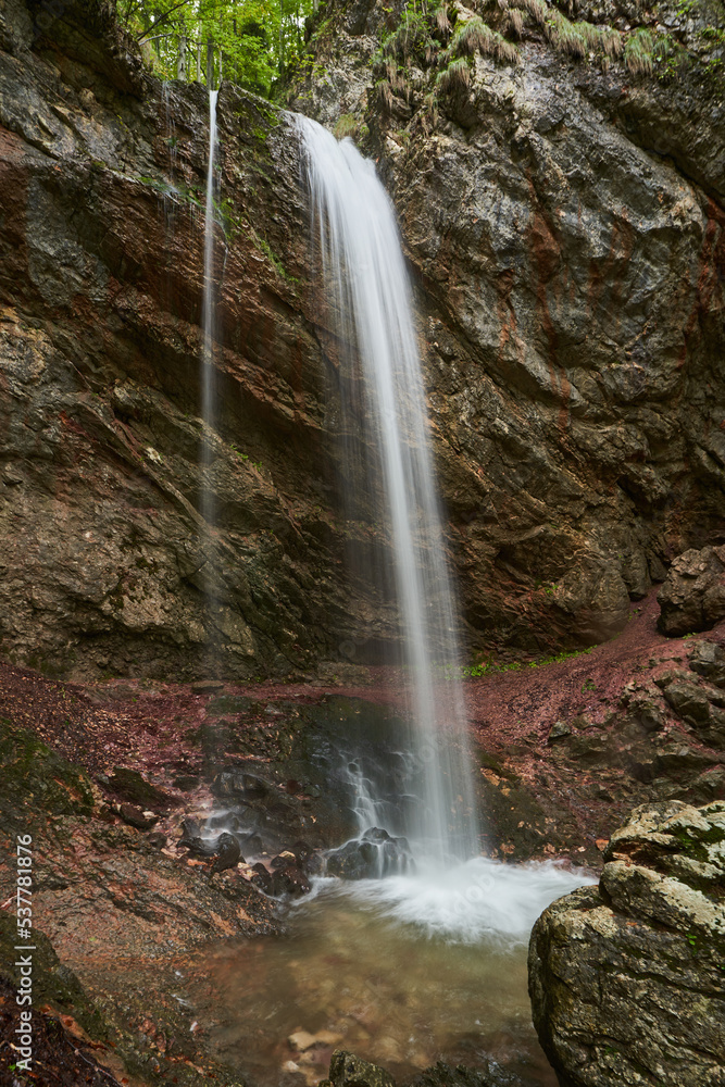 Fototapeta premium Waterfall in the forest