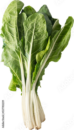 Quadro em tela Bunch of chard