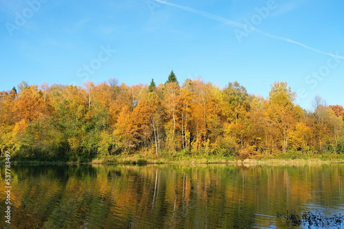 Beautiful autumn landscape. River and yellow-orange bright autumnal forest in sunny day. fall season. harmony peaceful nature image