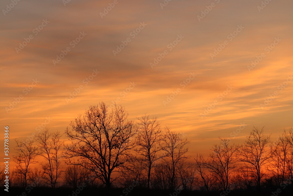 tramonto con alberi e nuvole in inverno