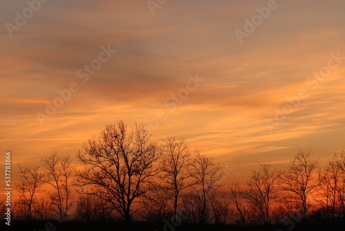 tramonto con alberi e nuvole in inverno