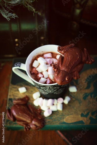 Harry Potter Choco Grenouilles