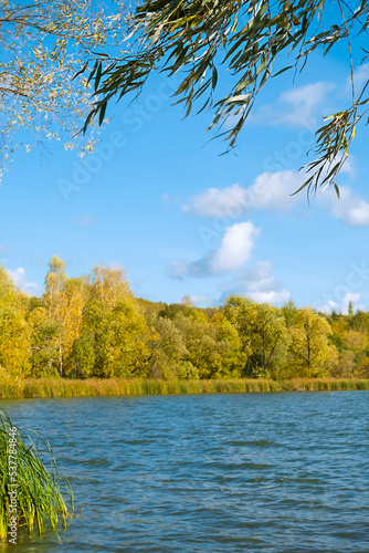 Scenic, autumn landscape trees and forest lake, nature view fall background. Vertical photo with autumn landscape.
