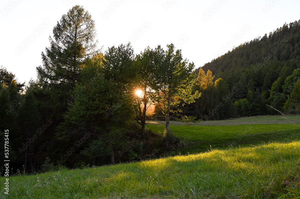 Coucher de soleil derrière un paysage de forêt dans le massif des Dolomites en Italie