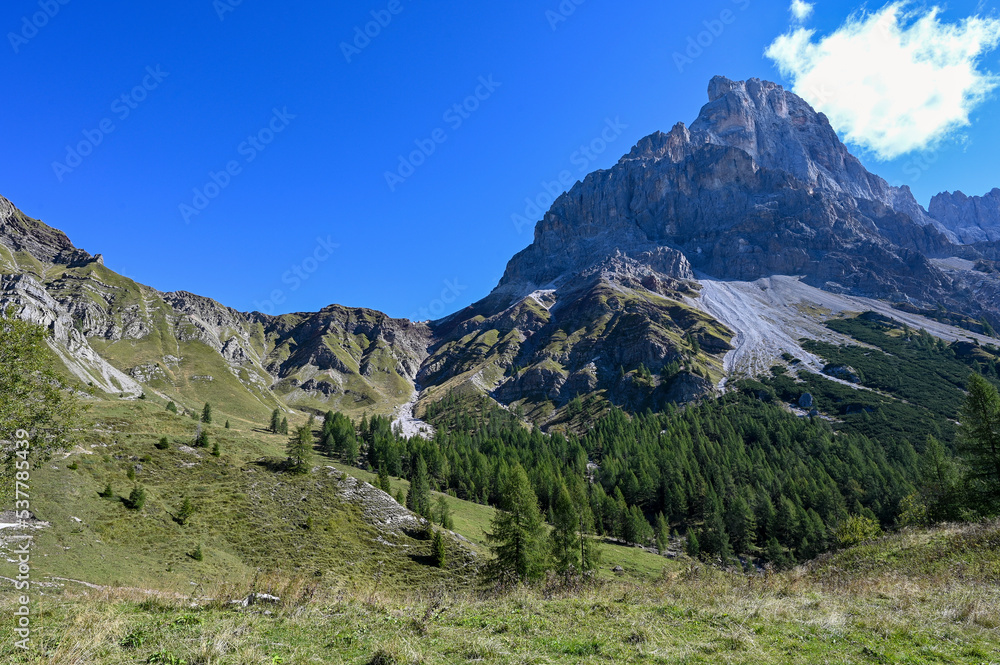 Paysage de montagne autour du col de Rolle dans le massif des Dolomites et le parc naturel Paneveggio en Italie en été