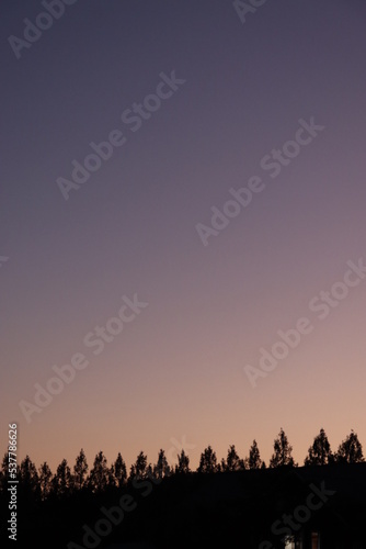 夕暮れ