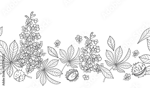 Seamless pattern with outline Buckeye or Horse chestnut flower, seed and leaf in black on the white background. 