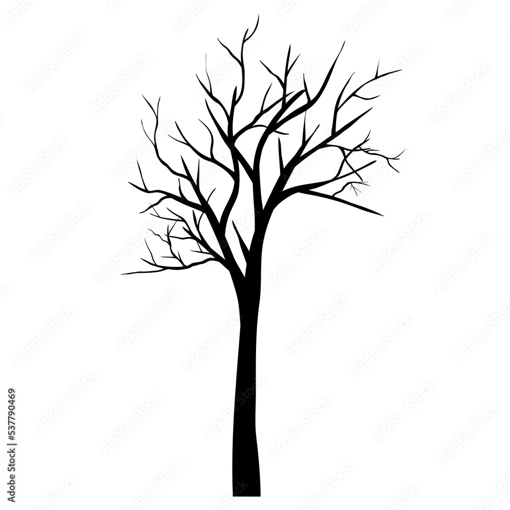 leafless tree silhouette leafless tree silhouette