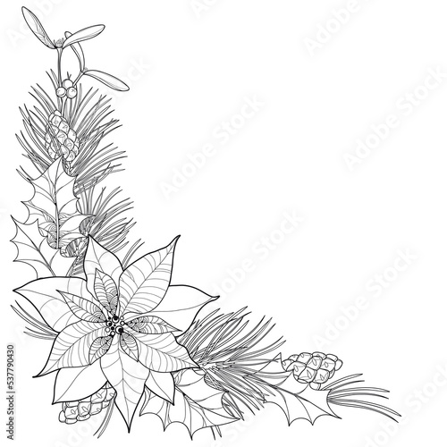 Outline corner bunch with Poinsettia or Christmas Star, pine and cone in black isolated on white.  © bokasana