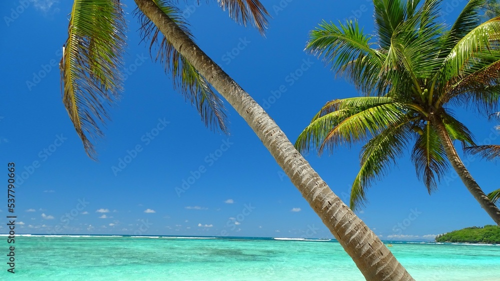 Seychelles, Praslin island, La Farine cove or Flour cove