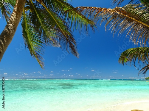 Seychelles  Praslin island  La Farine cove or Flour cove