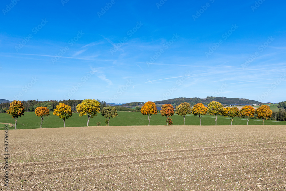 Fototapeta premium Landschaft im Herbst Sauerland