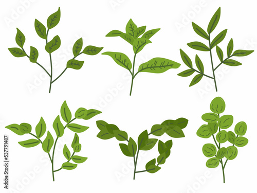 set of green leaves icon on white background.summer. Herbs  plants  leaves.
