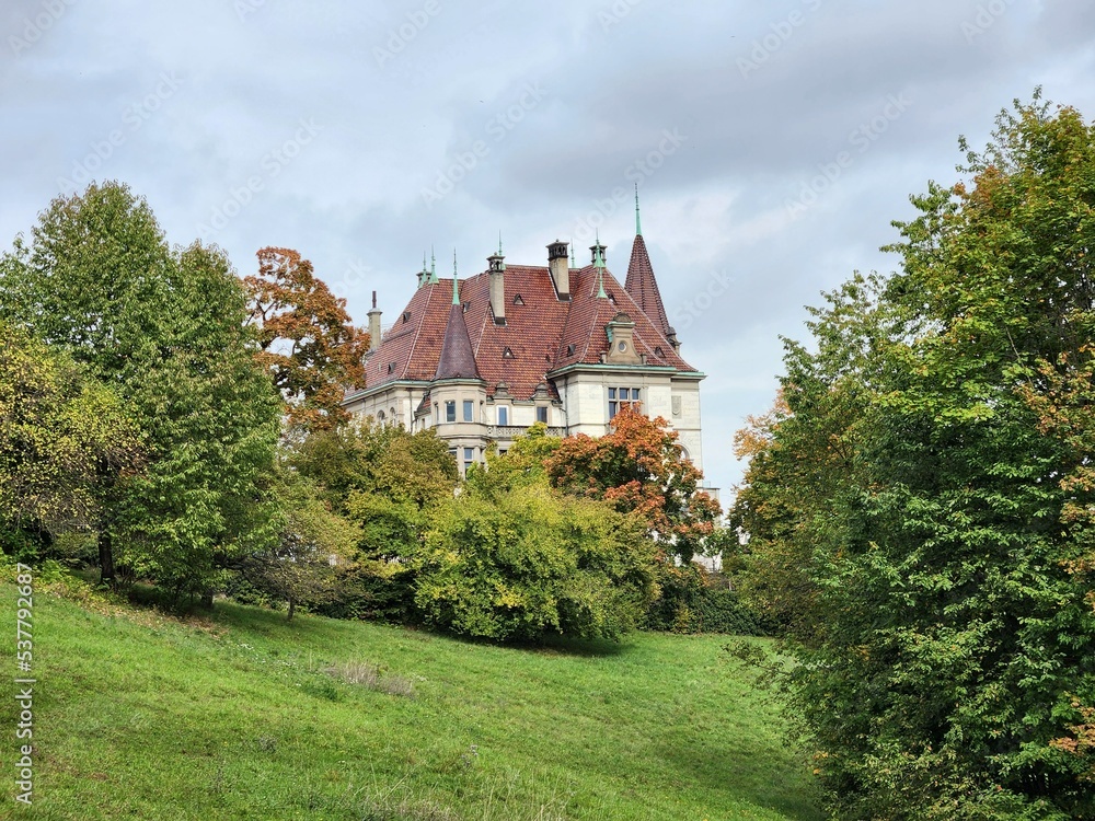 Fototapeta premium castle