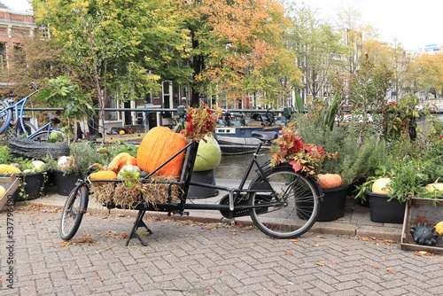 Photography Amsterdam Canal Street View with Cargo Bike, Pumpkins and Autumn Foliage, Nether