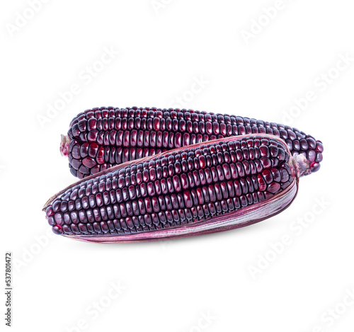 Konstfotografi Siam Ruby, Queen or Thai red corn is sweet corn that can be eaten fresh and has a crispy sweet taste isolated on transparent background (