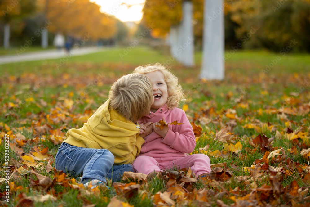 Cute blond toddler children boy and girl,walking in autumn park on sunset, enjoying the beautiful nature Cute blond toddler children boy and girl,walking in autumn park on sunset, enjoying the beautiful nature